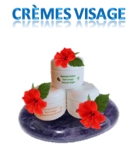 Crèmes Visage
